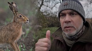 WILDLIFE PHOTOGRAPHY | Looking for BROWN HARES on my Doorstep