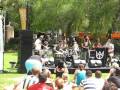 Wont Be Afraid (Live) - The Cat Empire