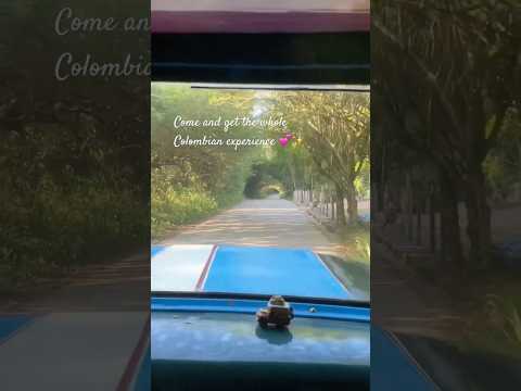 #cairovalle #valledelcauca #vallecolombia #cometocolombia #colombia #cafeteros
