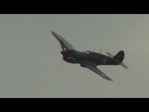 Iconic P-40 Warhawk roaring with Shark Mouth Fury! 🦈✈️ [4K]