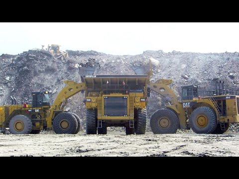 Caterpillar 993 vs. 994