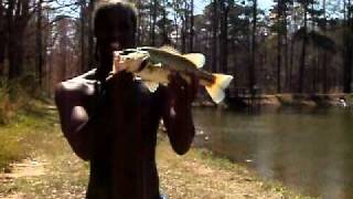 preview picture of video 'Largemouth Bass Fishing with Coon{Minnow}'
