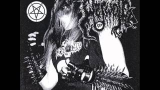 The True Werwolf - My Journeys Under The Battlemoon