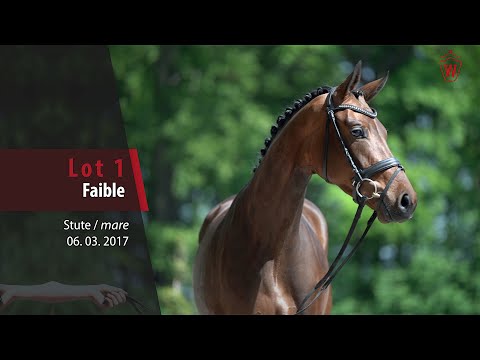 01 Faible Stute v. Fürstenball - Ehrentusch