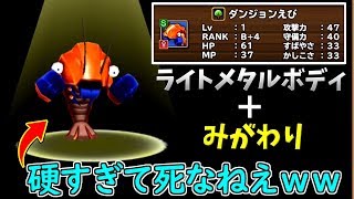 #19 君は最強のエビの雄姿を見たか!?【テリーのワンダーランドSP】