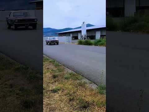 1966 Ford Mustang (CC-1966437) for sale in MISSOULA, Montana