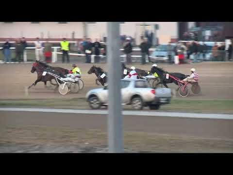 2017.12.31. 5. futam - PANCHO DÍJ - BUBIK ISTVÁN EMLÉKVERSENY HENDIKEP
