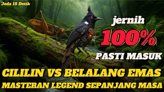 Download lagu MASTERAN CILILIN VS BELALANG EMAS JERNIH || MASTERAN LEGEND SEPANJANG MASA CILILIN GACOR mp3 Download lagu MASTERAN CILILIN VS BELALANG EMAS JERNIH || MASTERAN LEGEND SEPANJANG MASA CILILIN GACOR mp3
