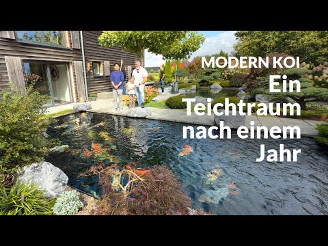 With Makoto at Tom's dream pond landscape | Modern Koi Blog #7641