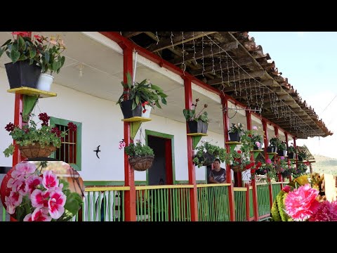 Mrs. Rubiela's Garden 🤩