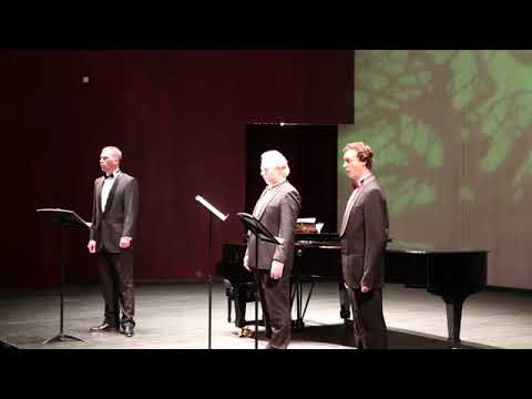 Three of Basso Profundo. Russian Folk Song: Yo, Heave Ho! (The Song of the Volga Boatmen). 2013