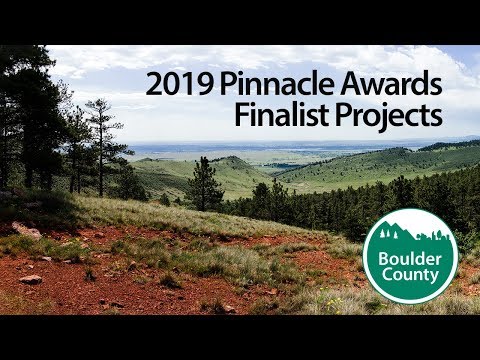 2019 Pinnacle Awards