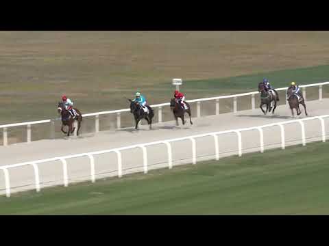 2019.04.07. 06. futam - SÜTVÉNYI DÍJ (II.kat.) (szintetikus pálya)