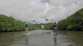 石垣島ドリーム観光