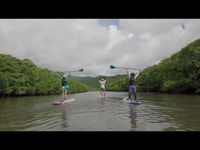石垣島ドリーム観光