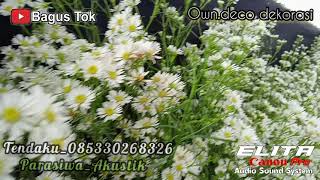 Download lagu Ahkirnya Ku menemukanmu - Suci Tacik ft parasiwa akustik mp3