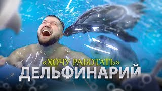 ЭТИ ЖИВОТНЫЕ ПОЗВОЛЯЮТ СЕБЕ ВСЁ! Хочу работать в дельфинарии | Дельфинотерапия