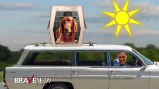 The Mutt Romney Blues