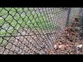 Ants Relocating Their Nest in Somerset, NJ