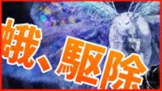 【ELDEN RING NIGHTREIGN】蟲蟲蟲蟲蟲蟲蟲蟲蟲蟲蟲蟲蟲蟲蟲蟲轟蟲蟲蟲蟲蟲蟲蟲蟲蟲蟲蟲蟲蟲蟲蟲蟲蟲蟲蟲蟲蟲蟲蟲蟲【雑談】