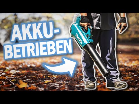 Beste AKKU LAUBBLÄSER 2026 | Top 3 Akku Laubgebläse Vergleich