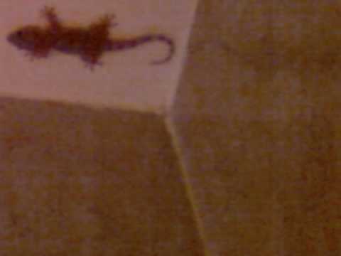 Joachim Garraud The Answer Dabruck And Klein Remix Extent