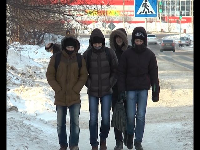 Последствия морозов