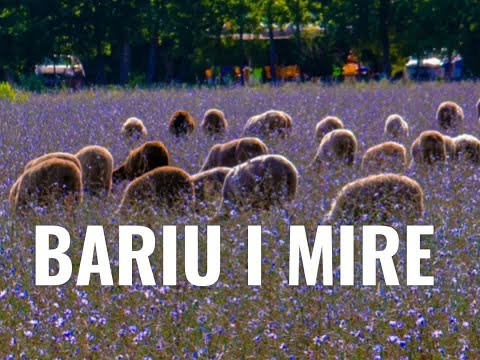 Bariu i mire!