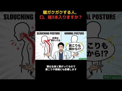 YouTube動画