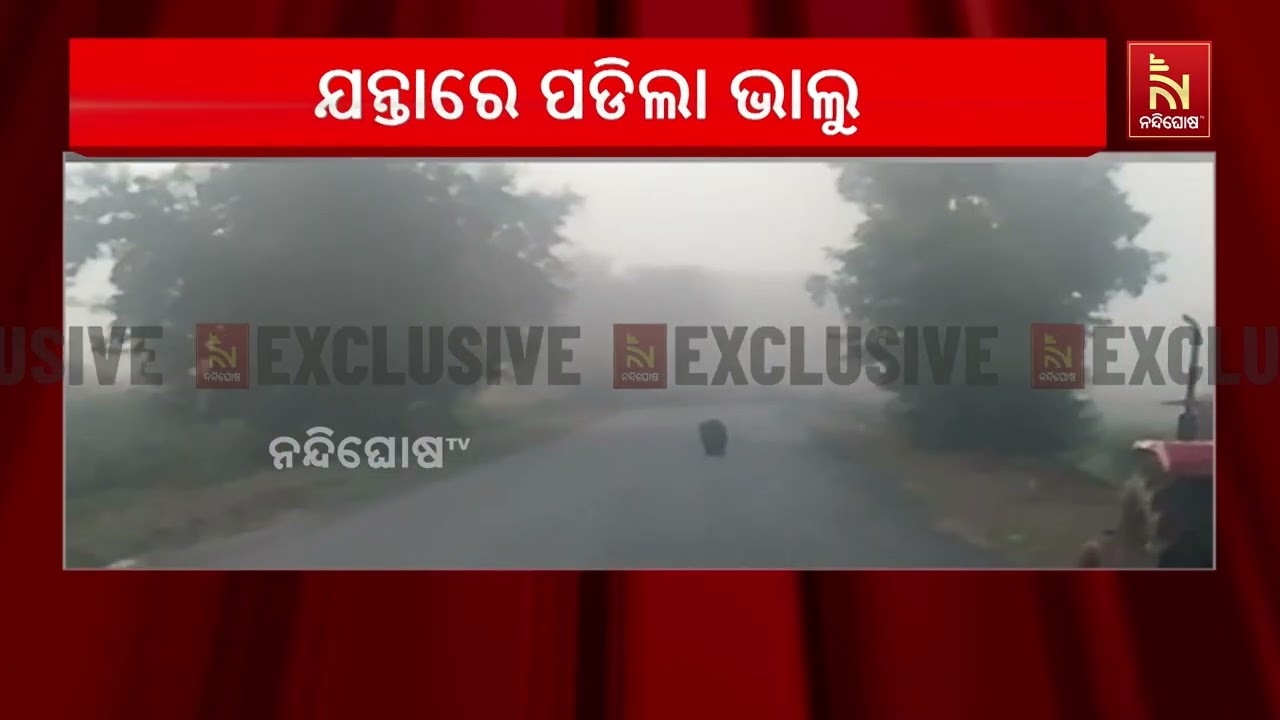 ନବରଙ୍ଗପୁର ସଦର ରେଞ୍ଜ ବିକ୍ରମପୁର ବିଟ ଜାମ୍ବଗୁଡା ଅଞ୍ଚଳର?