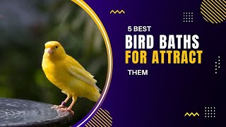 Top 5 Best bird baths 2022 For your garden or backyard