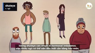 [Song ngữ - TED Ed] Nếu bạn không ngủ điều gì sẽ xảy ra?