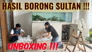 THE REAL SULTAN‼️BORONG IKAN DAN AQUARIUM RATUSAN JUTA‼️KEREN BANGET