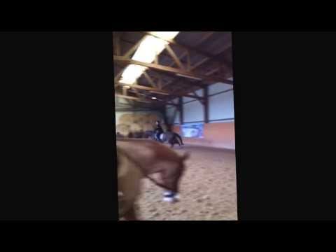 Einstein  -  08/02/2014