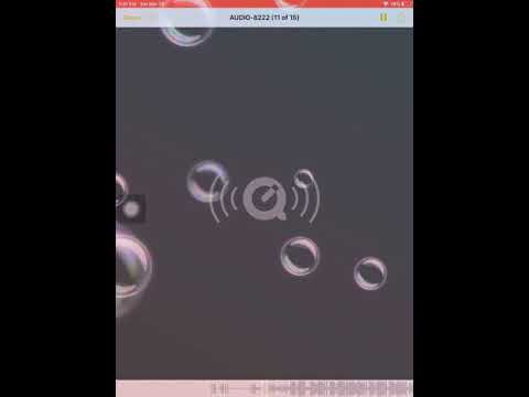 Fredo bags x TTGDree