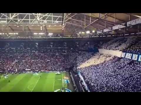 🎶 Tausend Freunde, die zusammenstehen, dann wird der FC Schalke niemals untergehen! 🎶 💙⚒⚽️ #schal