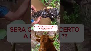 oque você acha? #barbapescarias