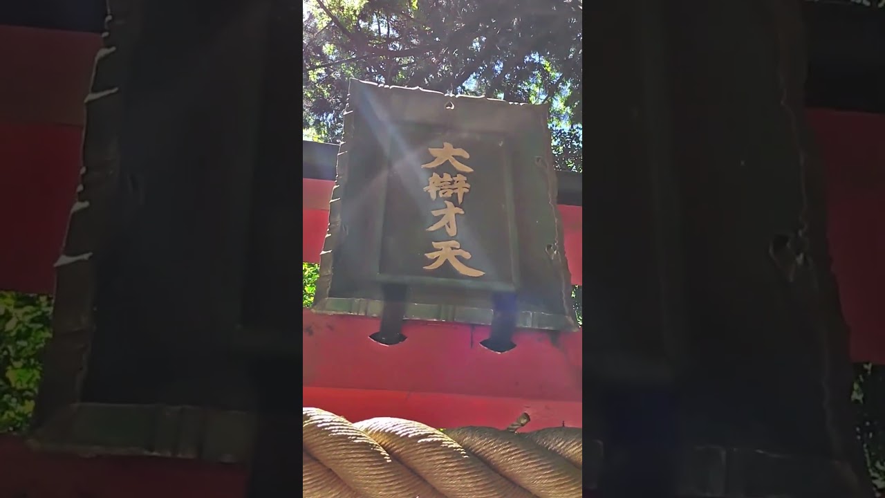 Sacred Cedar at Okunoin Benzaiten | Ryosenji Temple, Nara