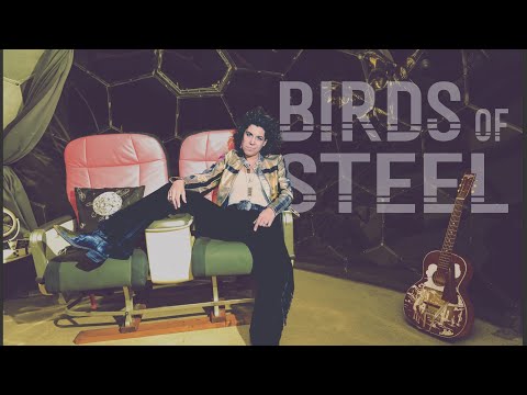 Birds of Steel