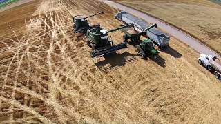 preview picture of video 'Franklin County Grain Harvest 2014 - Dayton, ID from DJI Phantom 2 Vision+'