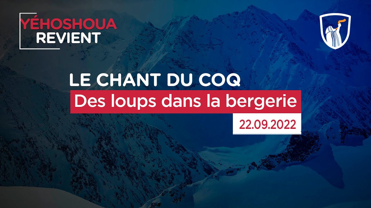 Thumbnail of video: Des loups dans la bergerie