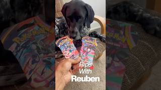 Roobs Best Pull!! #pokemon #pokemoncards #packopenning #pokemontcg #shorts
