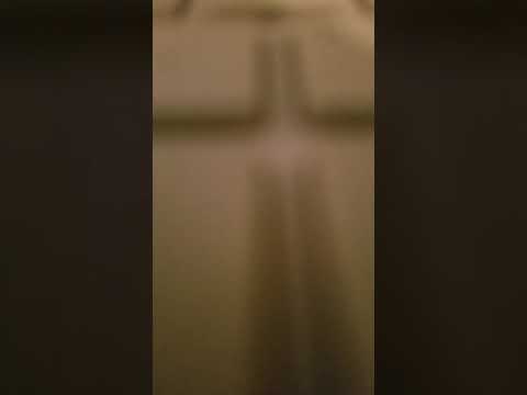 B.C. Anthem 2019 - JNeal [Official Audio]