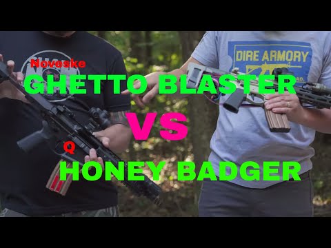 How Much Does A Full Grown Honey Badger Weigh?