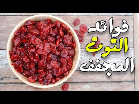 ما هي فوائد التوت البري المجفف ؟