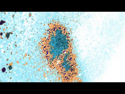 C- Major (SA), Toshi - Andingowenu (Klement Bonelli Remix)