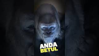 Download lagu TIPS MALAM JUMAT...!! #hewan #malamjumat #shorts mp3 Download lagu TIPS MALAM JUMAT...!! #hewan #malamjumat #shorts mp3