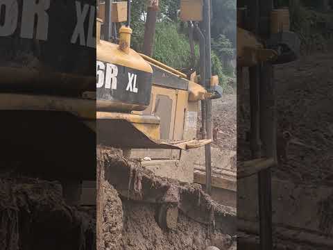 piteros Izabal #puertobarrios