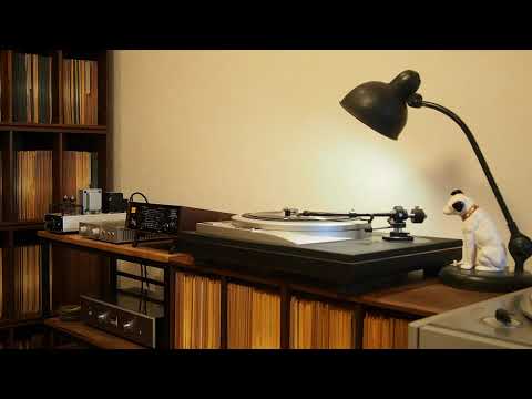 Is It True What They Say About Dixie? / Al Jolson and Mills Brothers