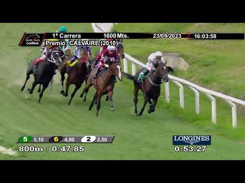 230923 c01 ALL TRICK (BRZ)